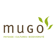 mugo
